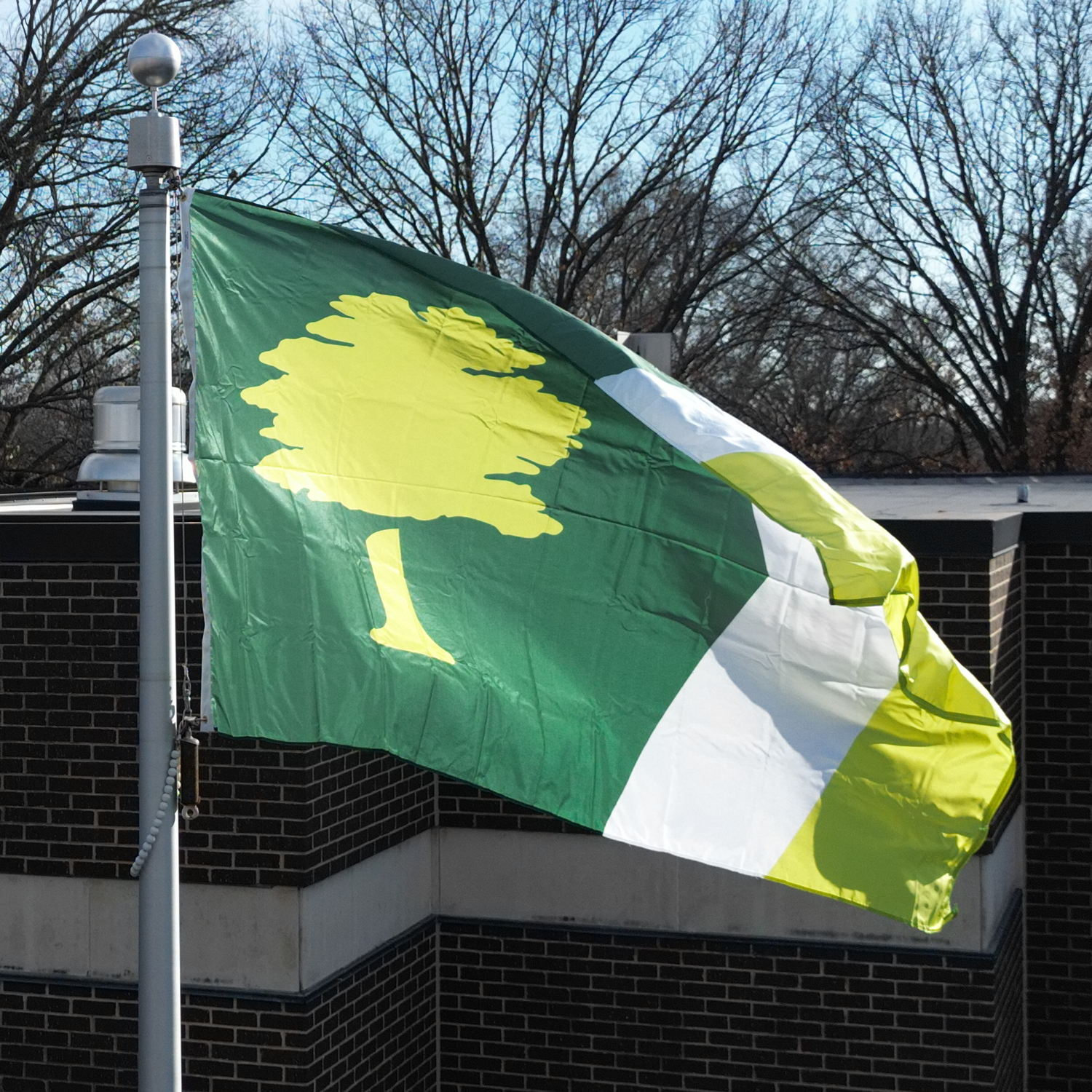 Overland Park Flag
